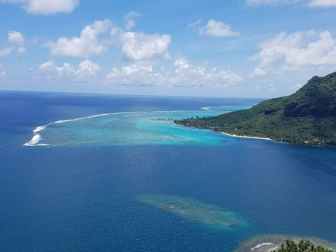 Albert's Transport-莫雷阿岛必去景点