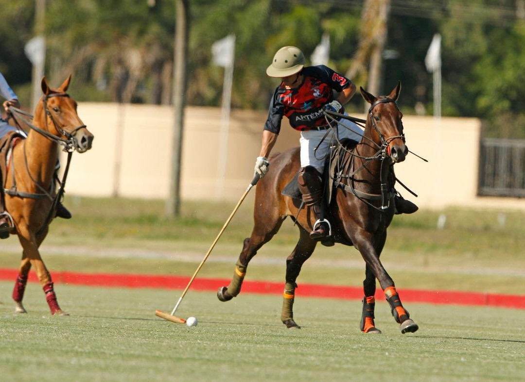 La Amistad Polo-Pilar必去景点