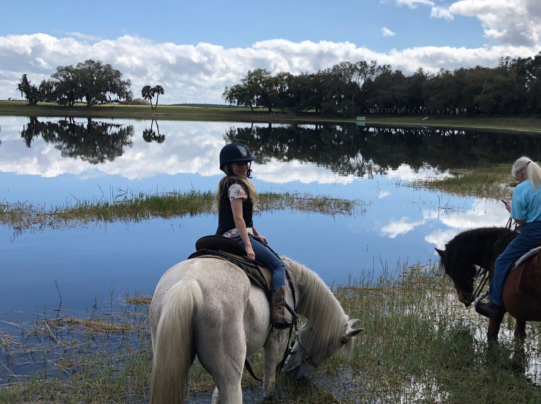 Horsespring Farm-莱克威尔士必去景点