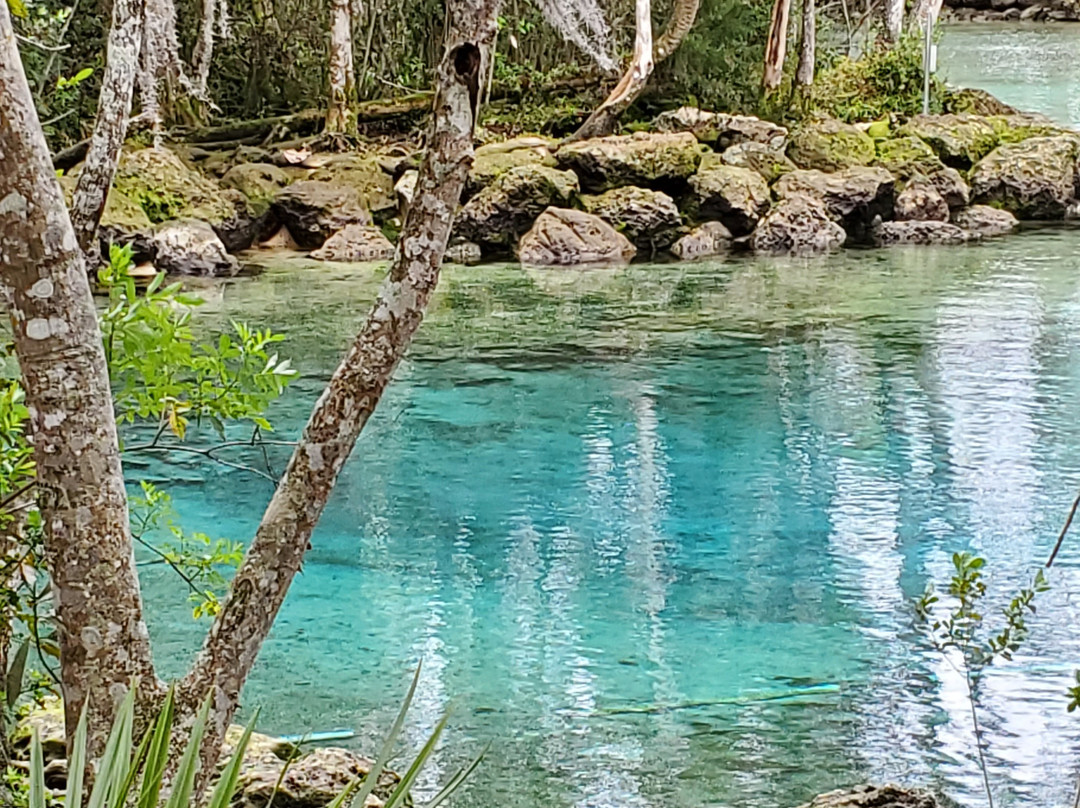 Three Sisters Springs-克里斯特尔里弗必去景点