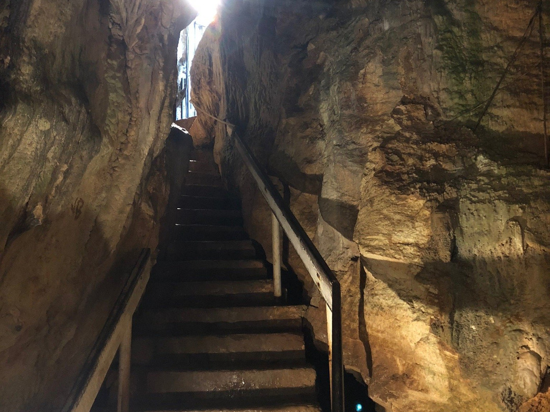 Cathedral Cave-汉密尔顿必去景点