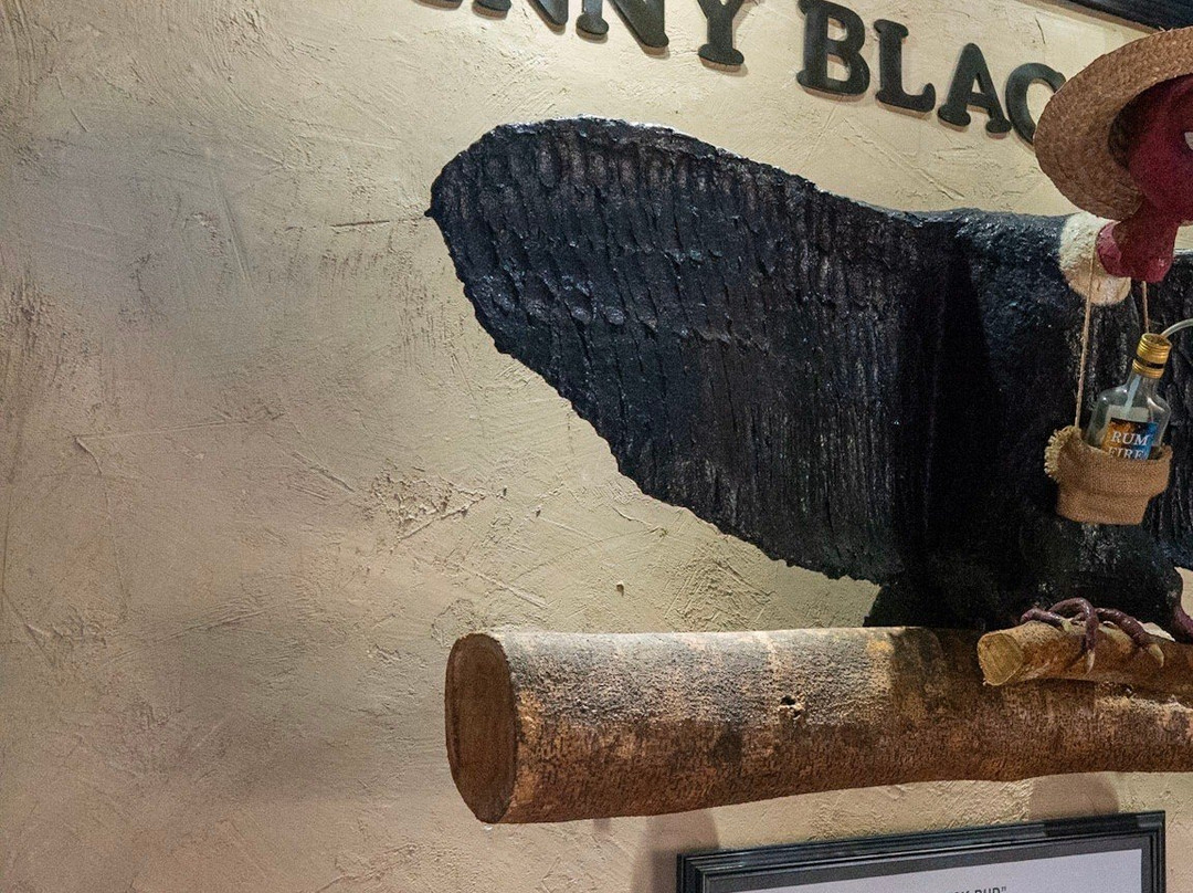 Real Best Tours and Taxi Jamaica-奥乔里奥斯必去景点