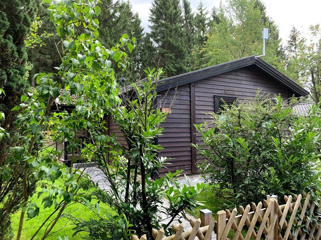 Ferienpark Waldsee主图