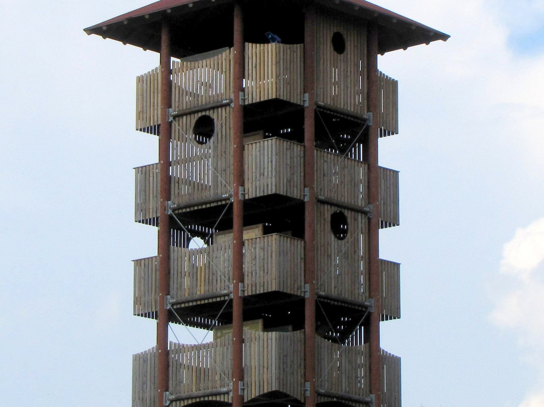 Aussichtsturm Ratzinger Höhe景点图片