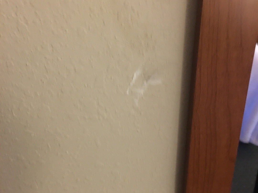 Days Inn & Suites by Wyndham New Iberia主图