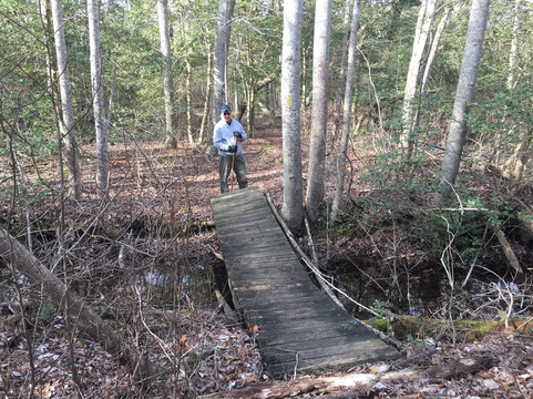Lizard Tail Swamp Preserve-开普梅考特豪斯必去景点