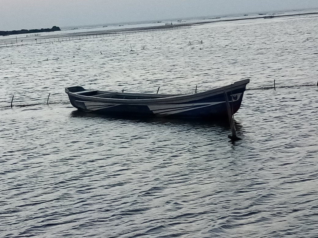 Pannai Causeway-贾夫纳必去景点