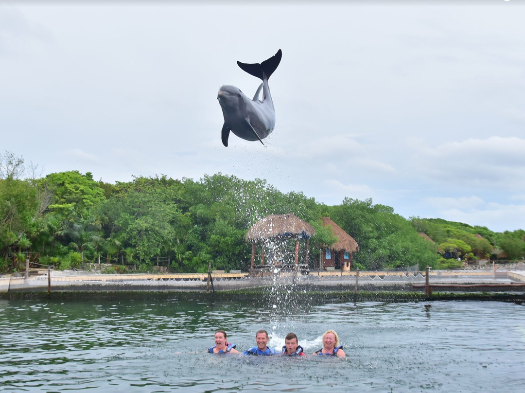 Delphinus Xel-Há-图伦必去景点