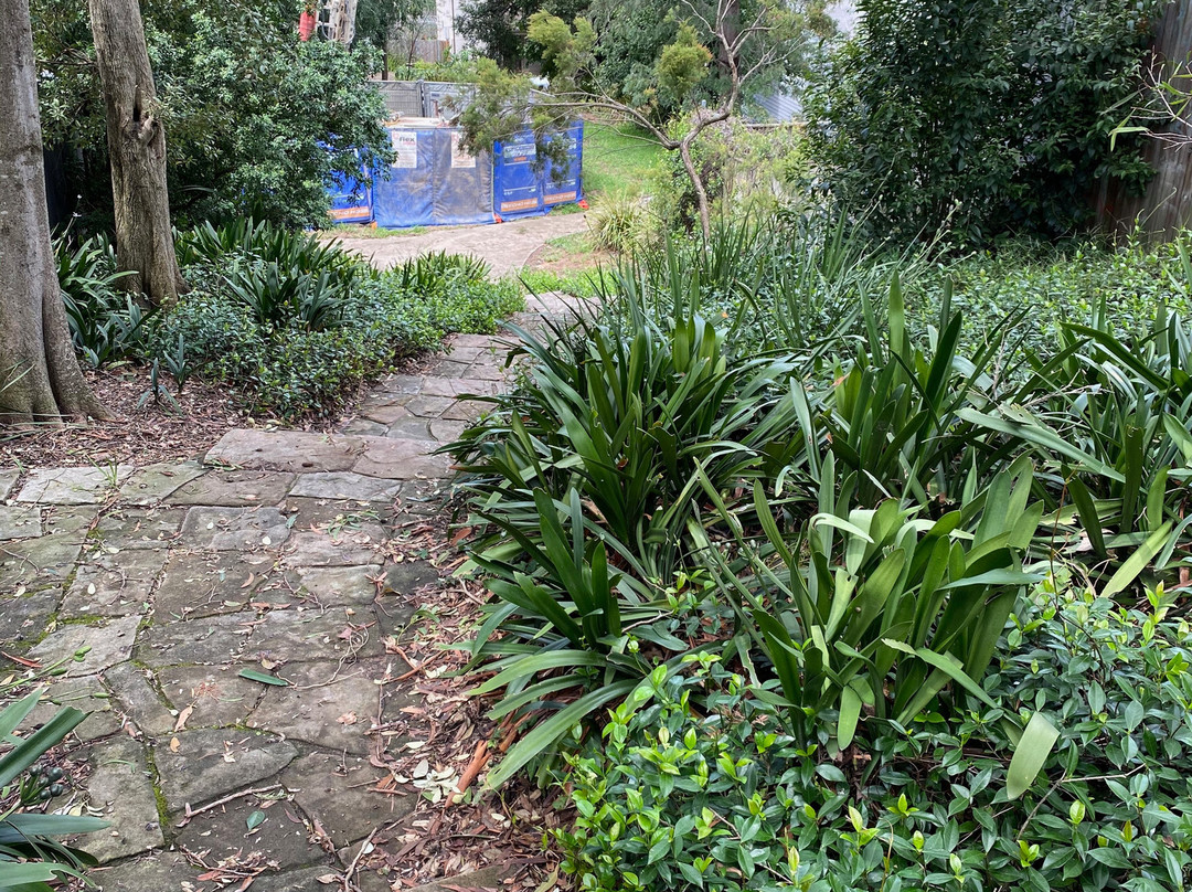 Rozelle Common-罗泽尔必去景点