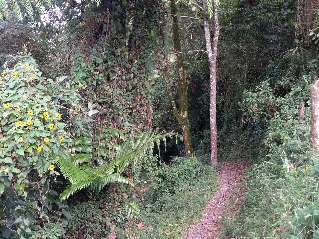 Granja La Cascada景点图片