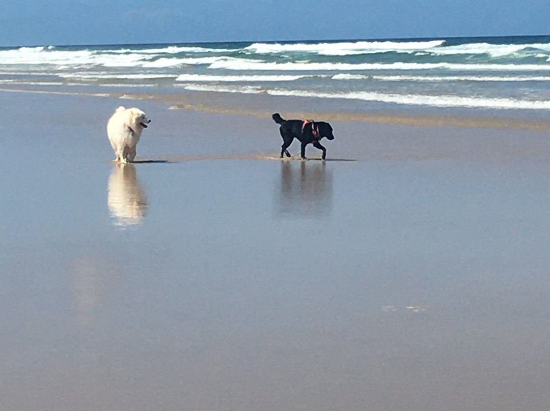 库伦海滩度假村主图
