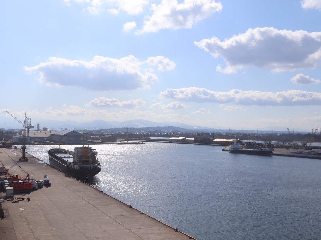 Toyama Shinko Lookout景点图片