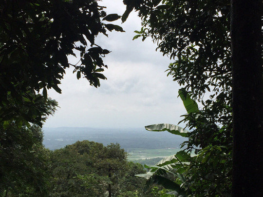 Munara Mountain-茂物必去景点