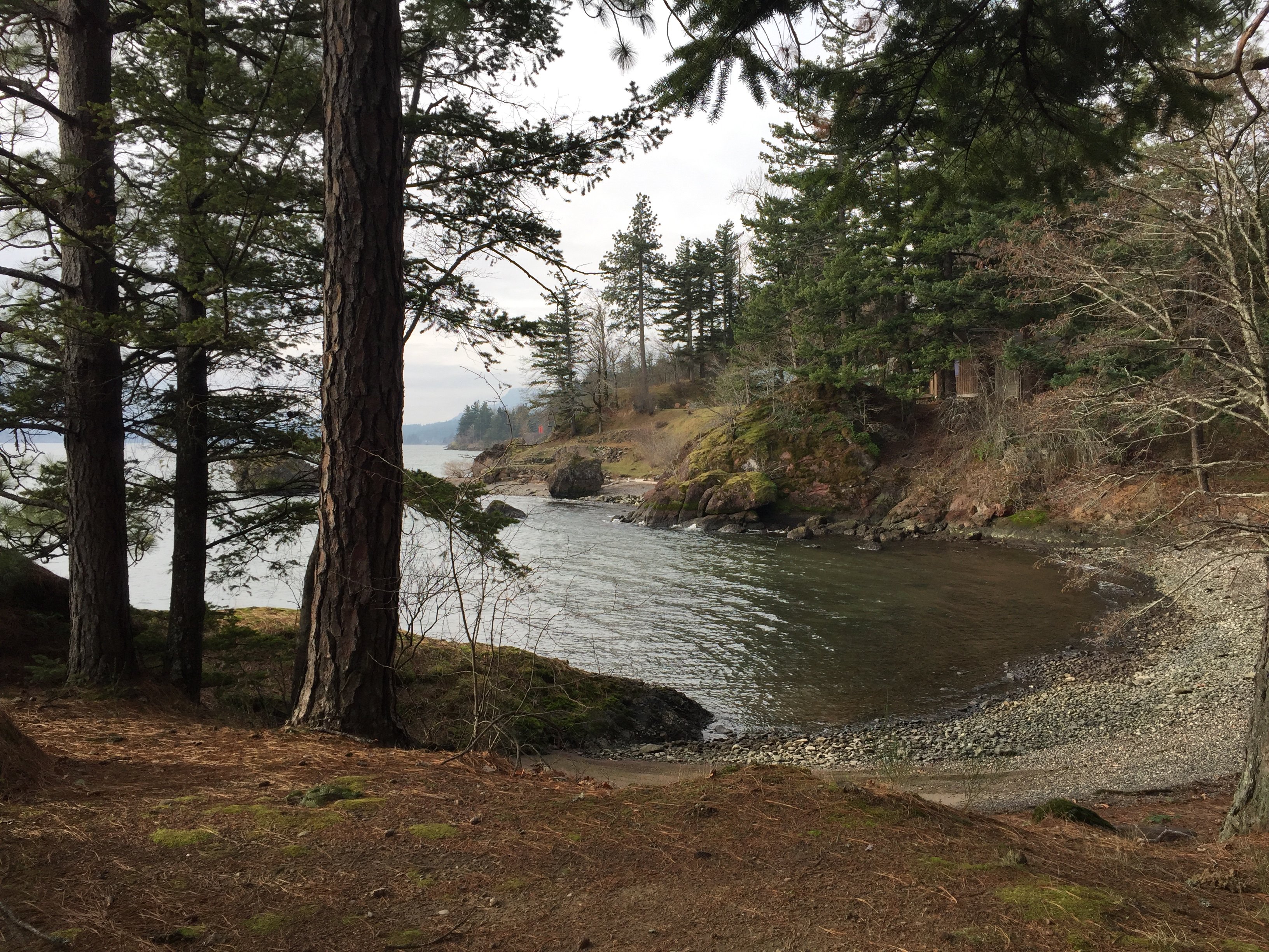 Skamania Coves Resort-泳池