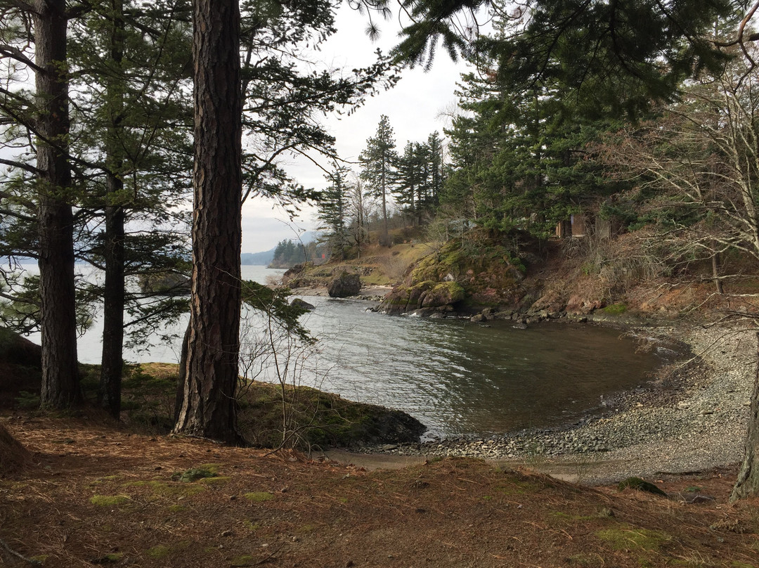 Skamania Coves Resort主图