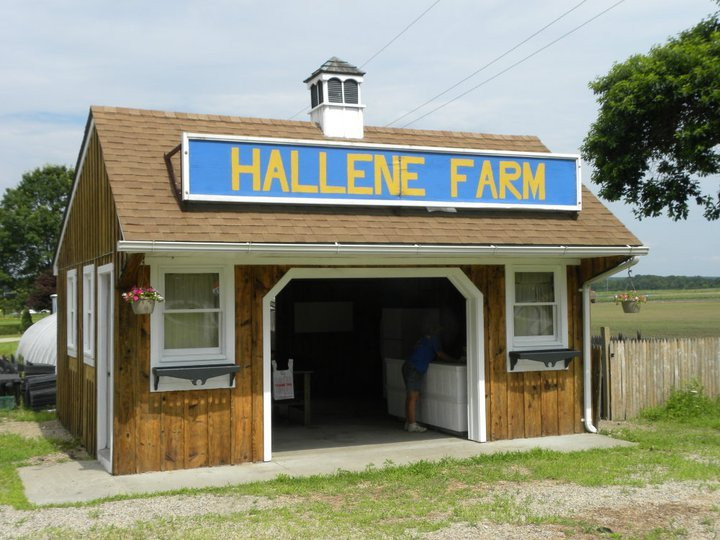 Hallene Farm-Exeter必去景点