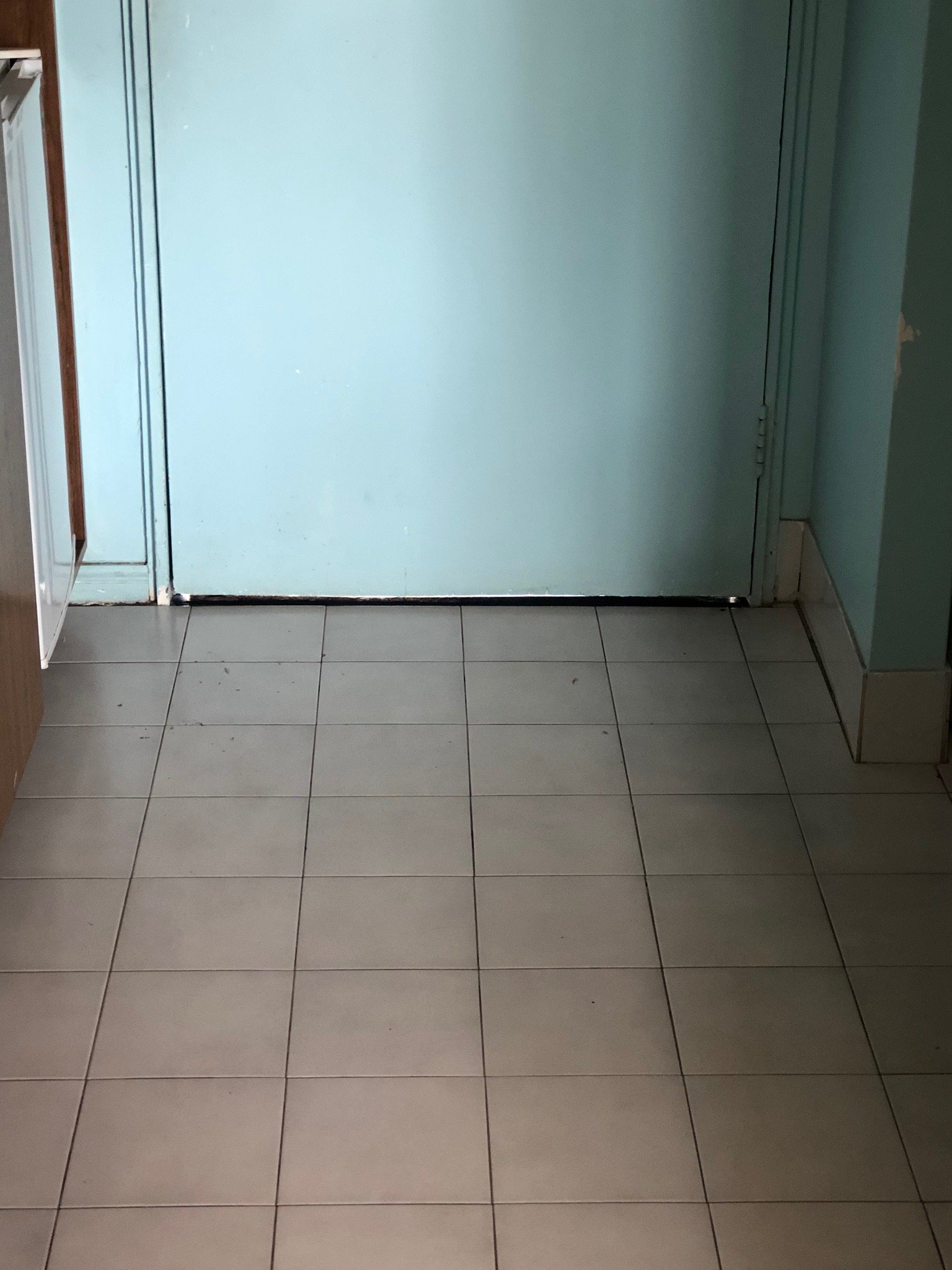 Kempsey Rose Motor Inn-官方