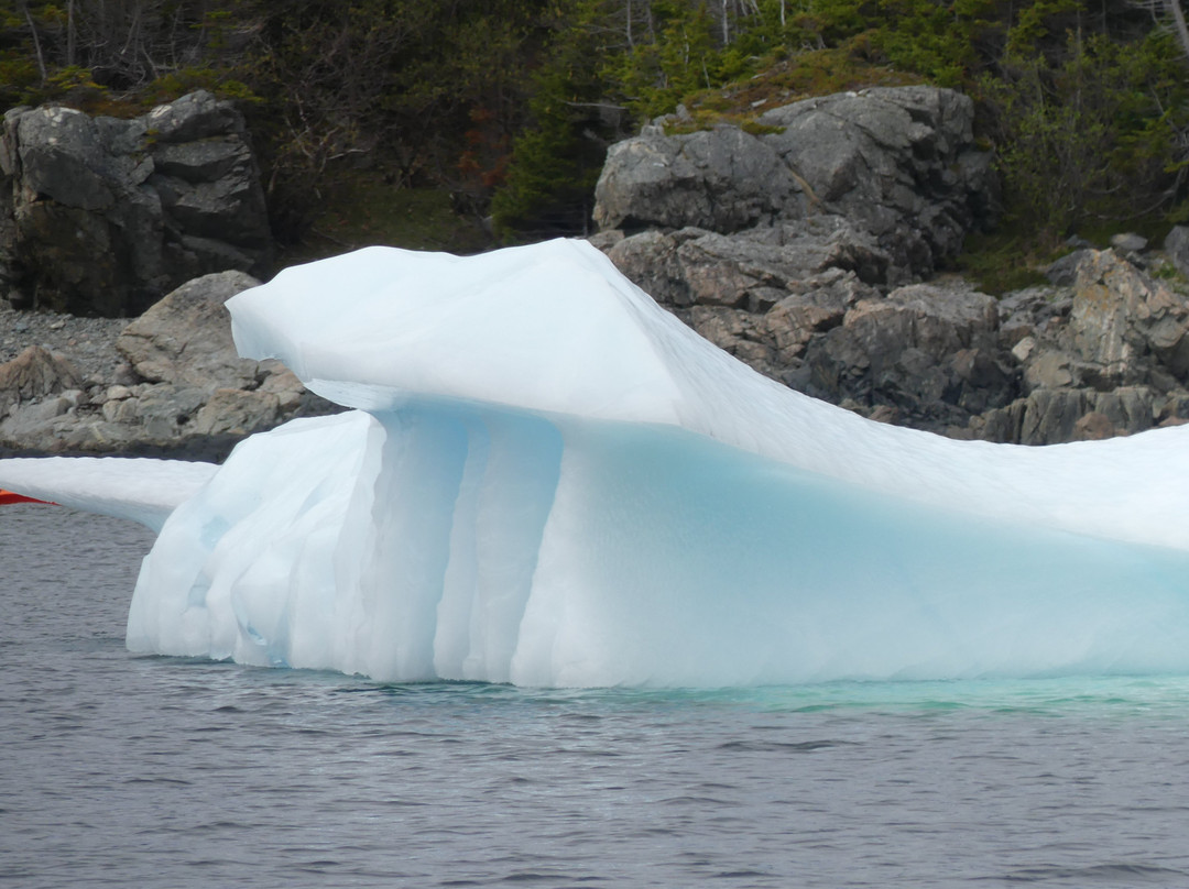 Iceberg Man Tours景点图片