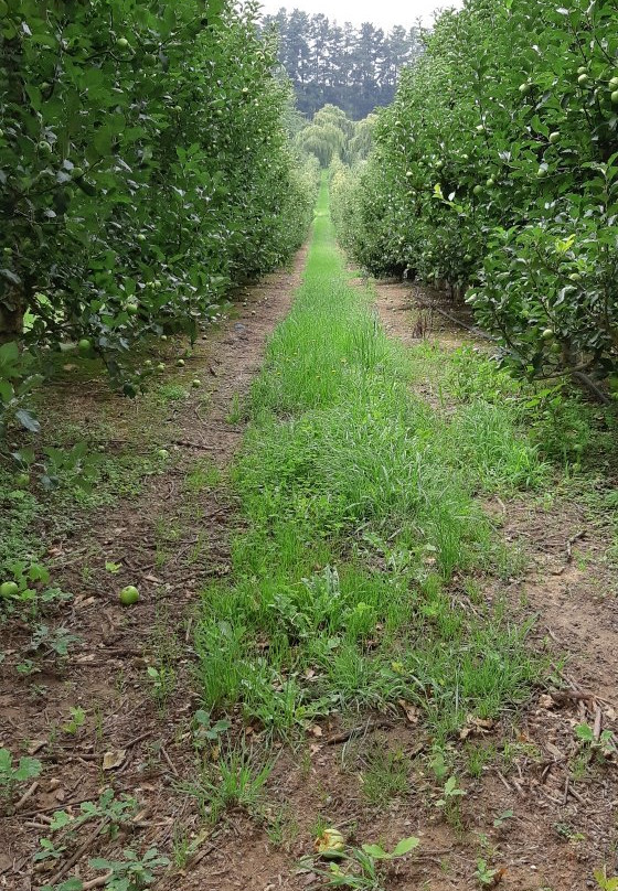 Elgin Country Lodge主图