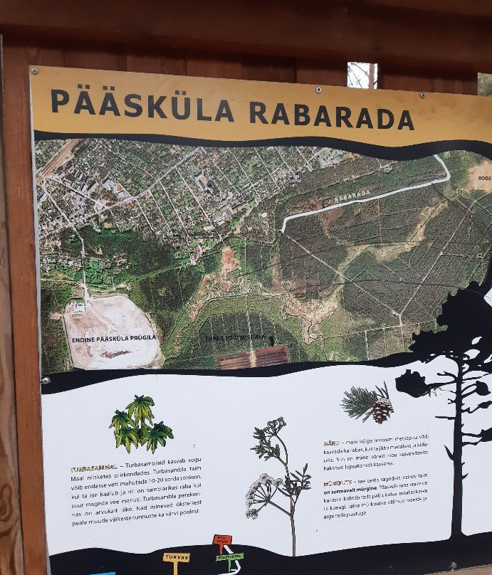 Nature Study Trail in Paaskula Bog景点图片
