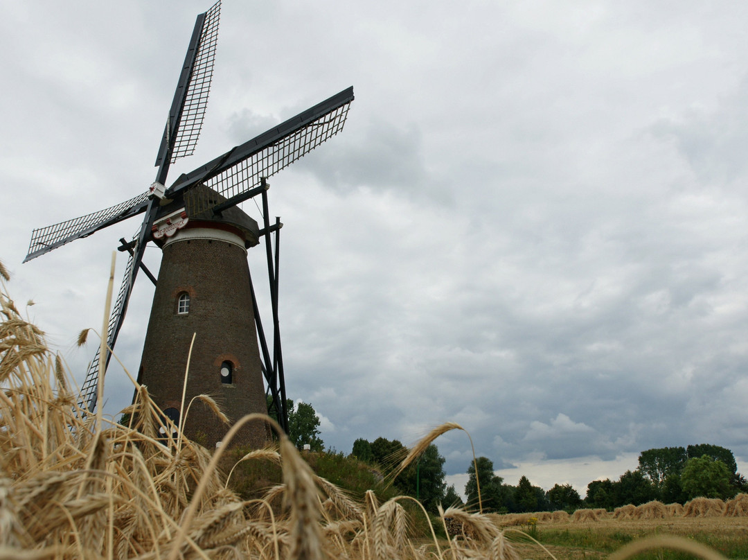 Windkorenmolen De Roosdonck景点图片