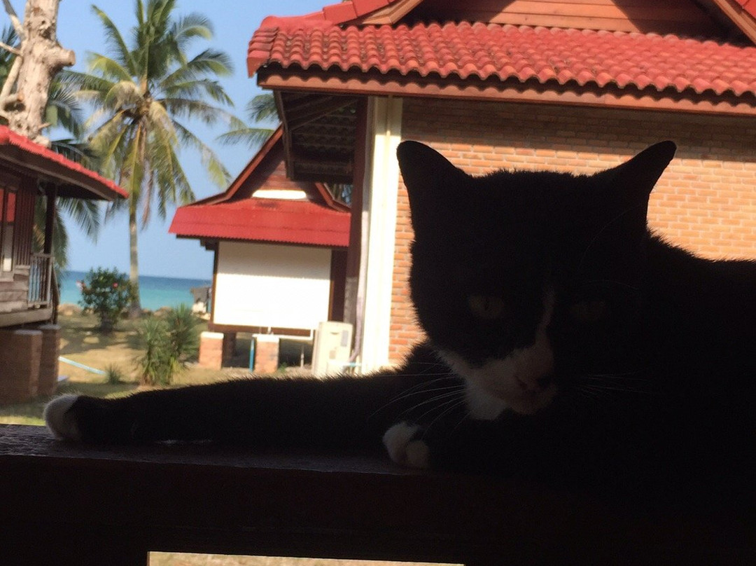 瓦塔纳度假村主图