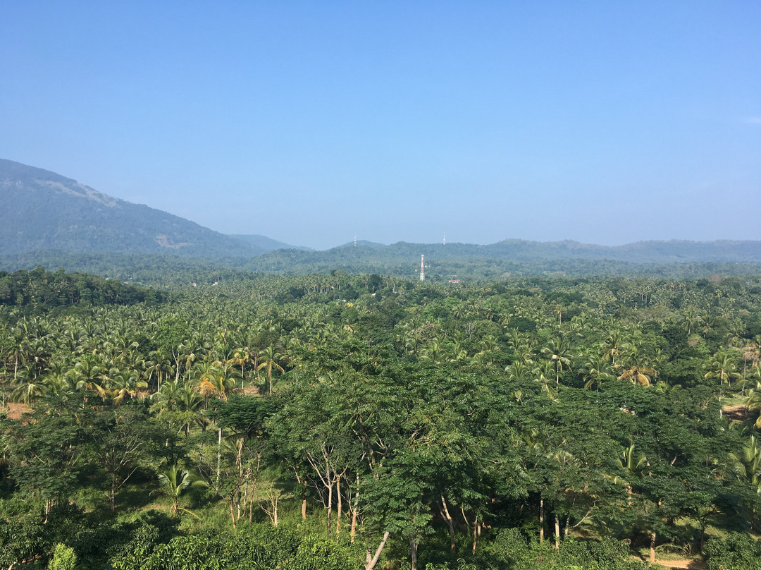 Jim's Farm Villas主图