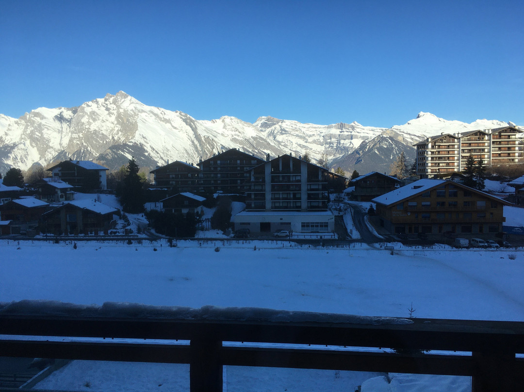 Hotel Nendaz 4 Vallees & Spa主图