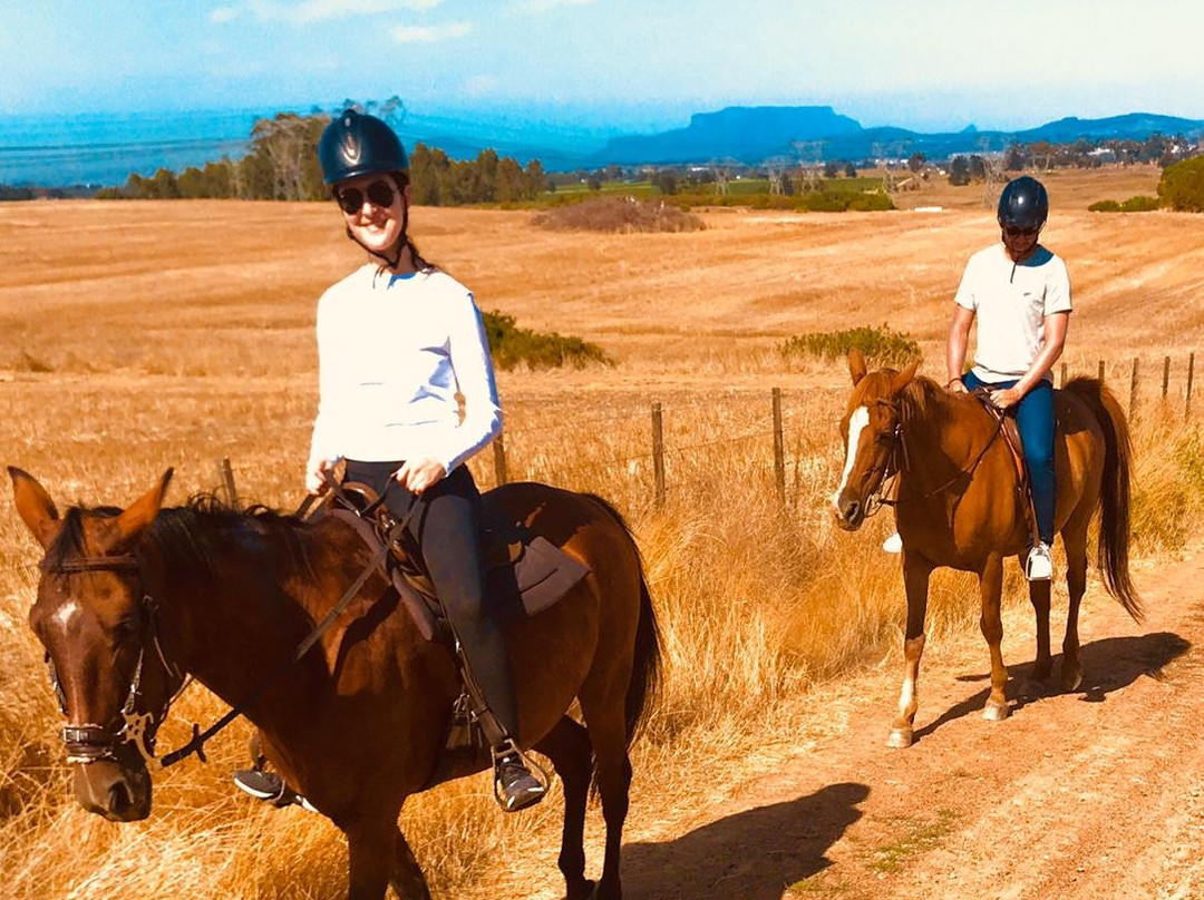 Ubuntu Horse Trails-斯泰伦博斯必去景点