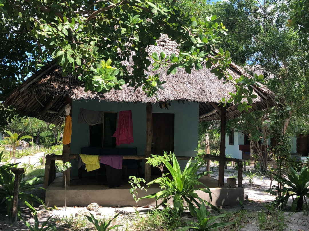 Mafia Blue Waves (previously Mangrove Beach Bungalows)主图