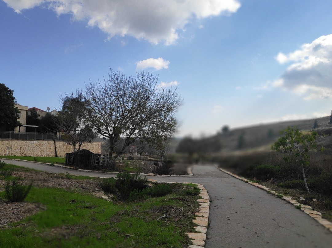 Yokneam Illit旅游攻略图片