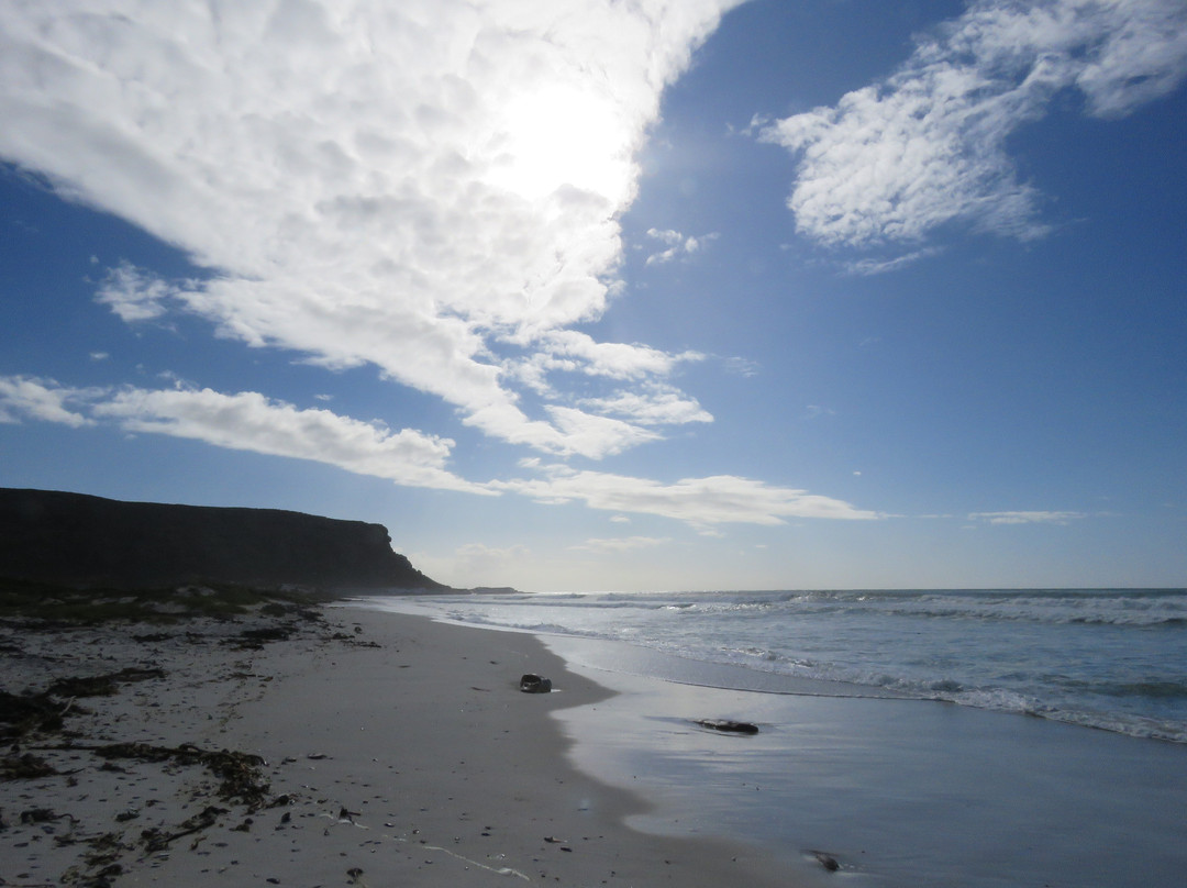 Elands Bay Beach景点图片