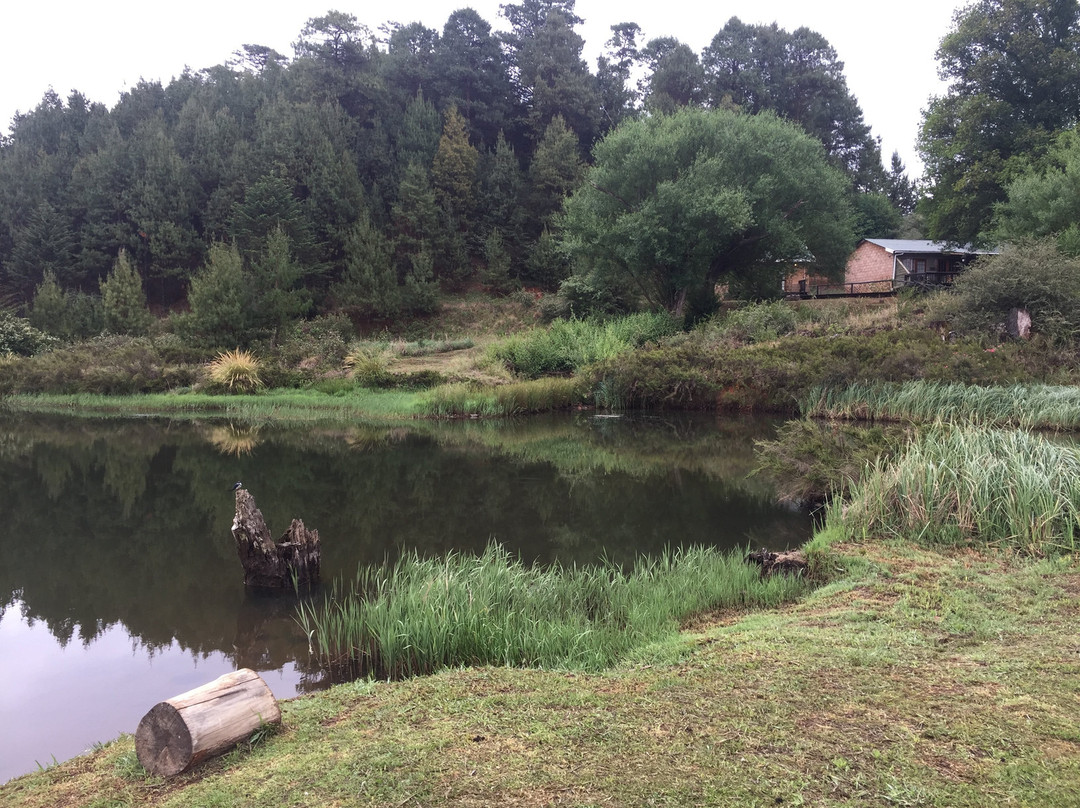 The Old Hatchery主图