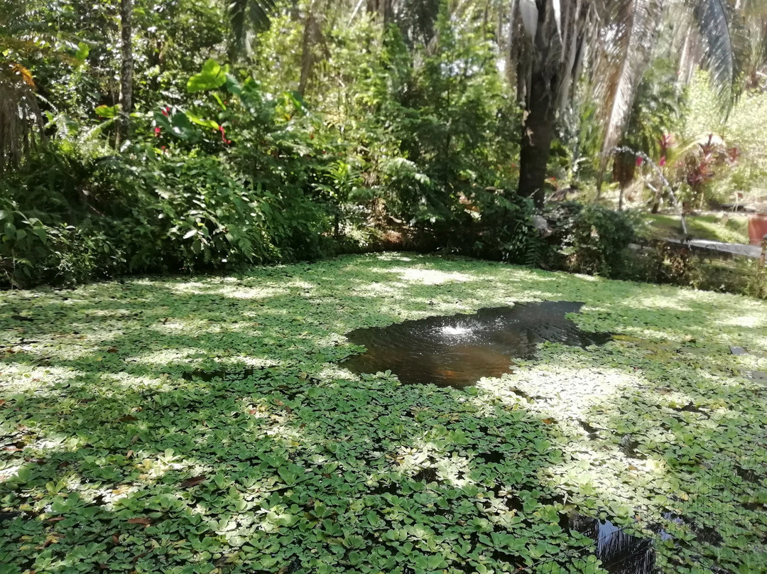 Hotel Eco Finca Amanwana主图