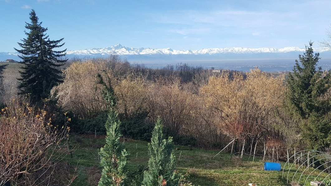 圣乔治酒店主图