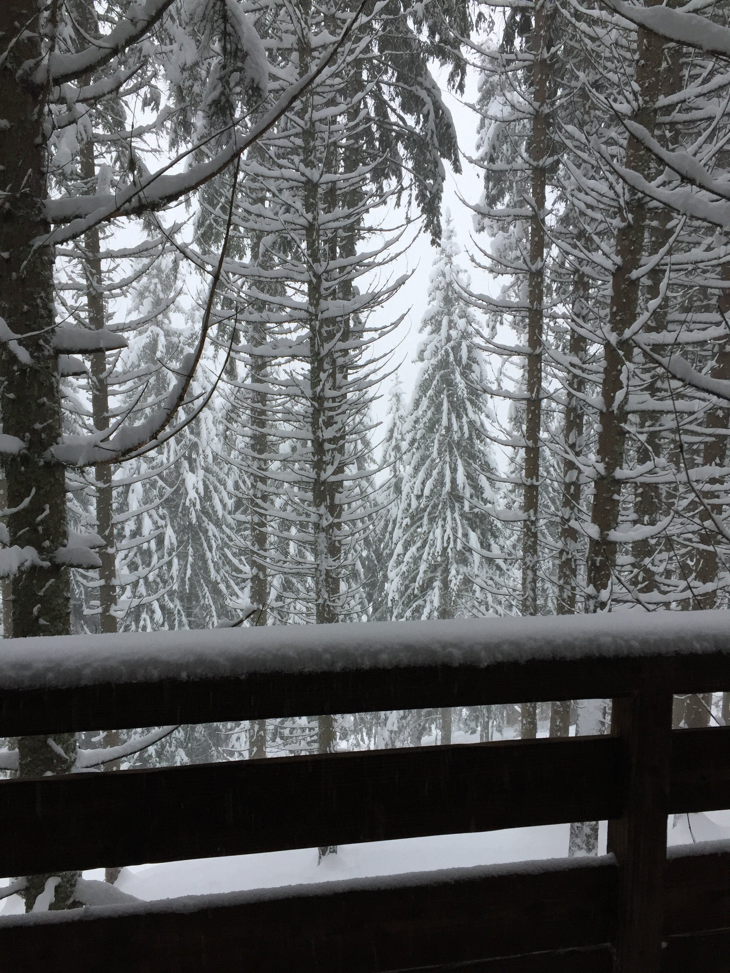 Entre Terre Et Ciel-酒店景观