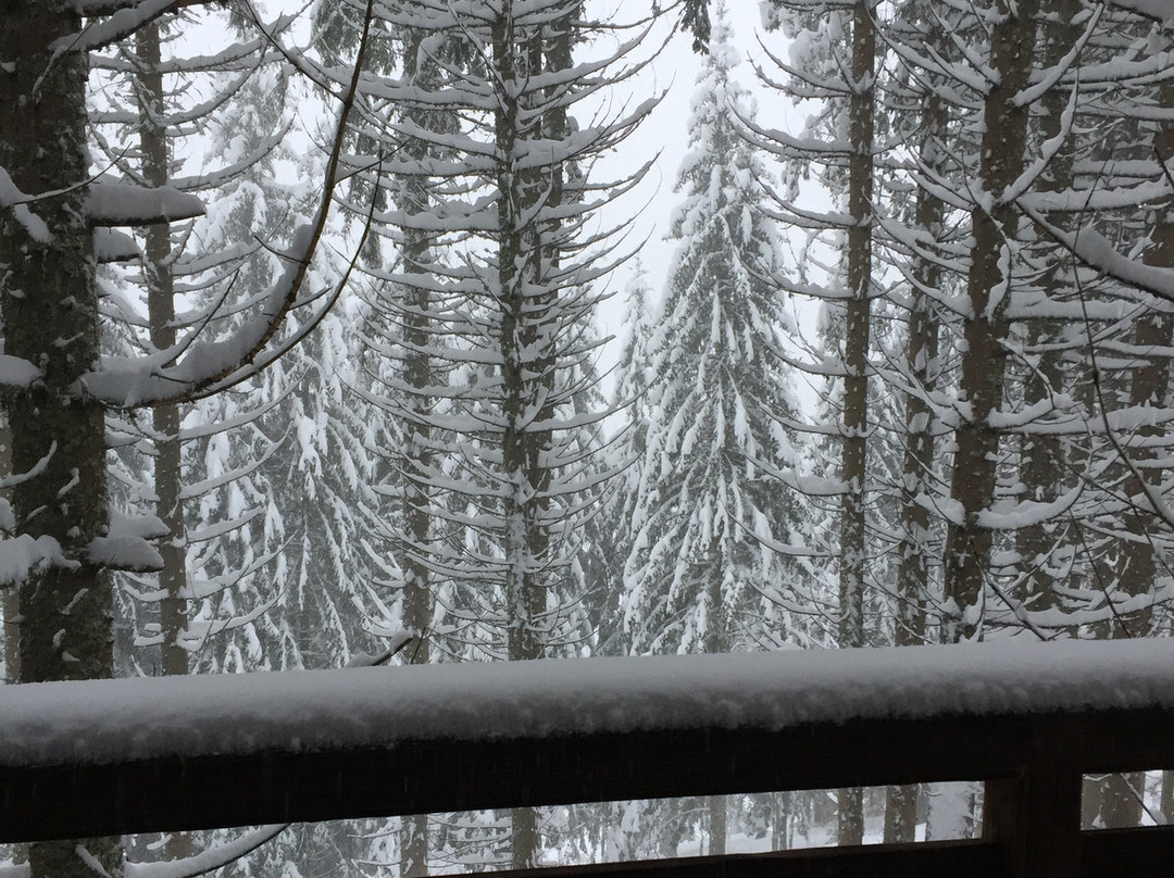 Entre Terre Et Ciel主图