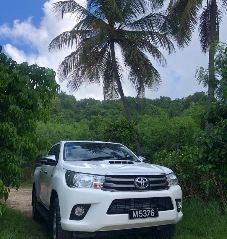 Hang Ten Adventures-布里奇顿必去景点