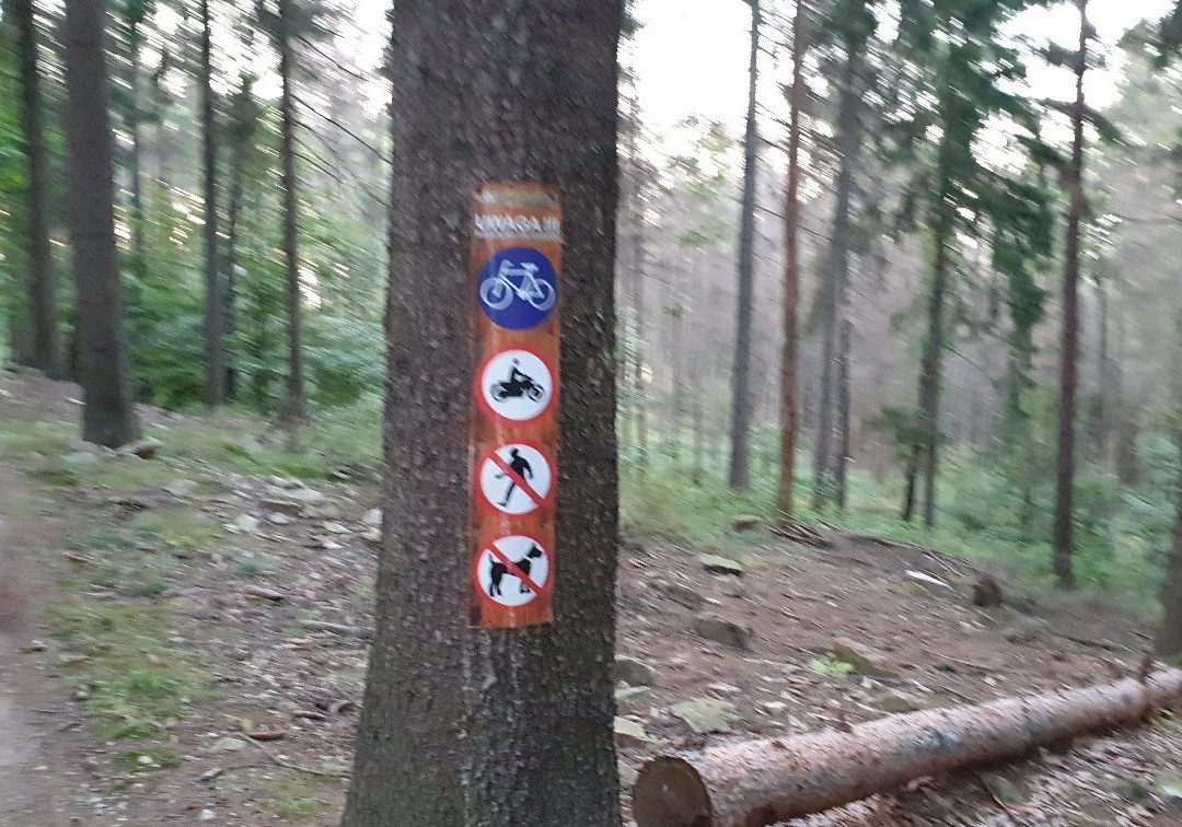 Złote Sciezki Głuchołazy - Gorskie Trasy Rowerowe Singletrack景点图片