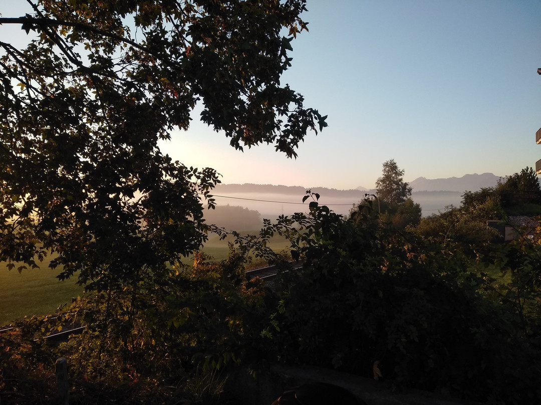 Landhotel Seeg主图