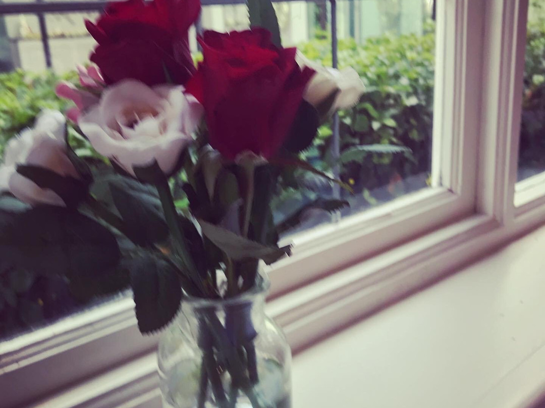 Roodenburg House主图