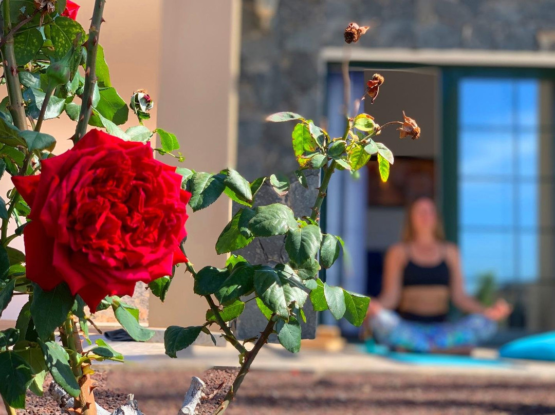 Lets Yoga景点图片
