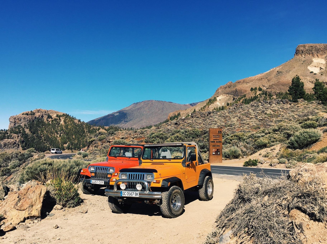 Buggy Quad Tenerife-美洲海滩必去景点