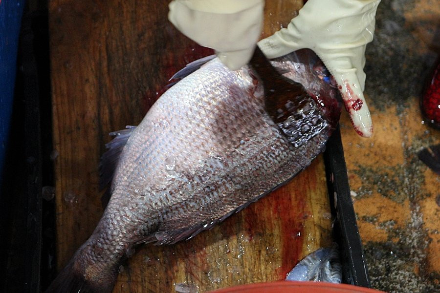 Suhyup Susanmul Center-高兴郡必去景点
