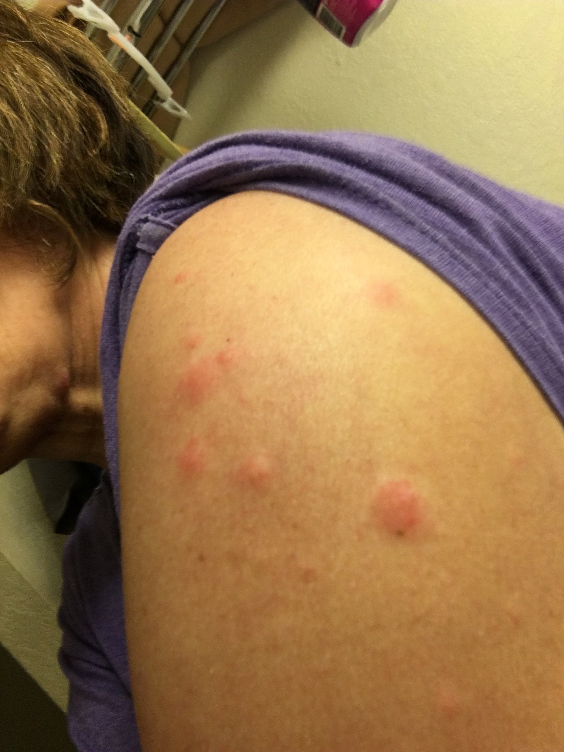 Lake View Inn-酒店景观