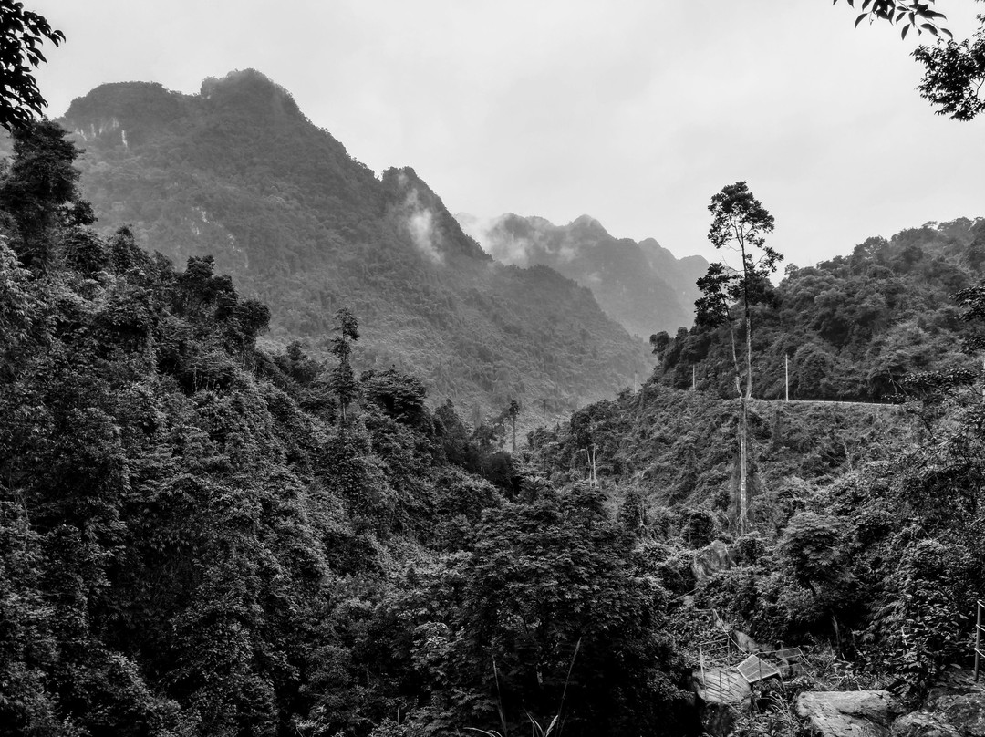 Phong Nha Botanic Garden景点图片