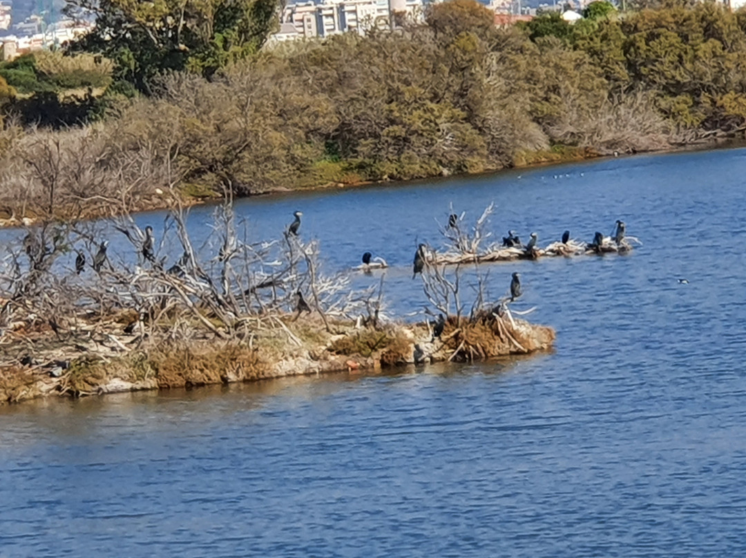 Parque del Guadalhorce景点图片