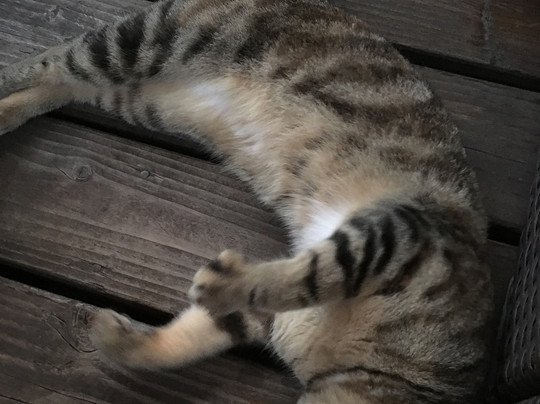 普金伊别墅主图