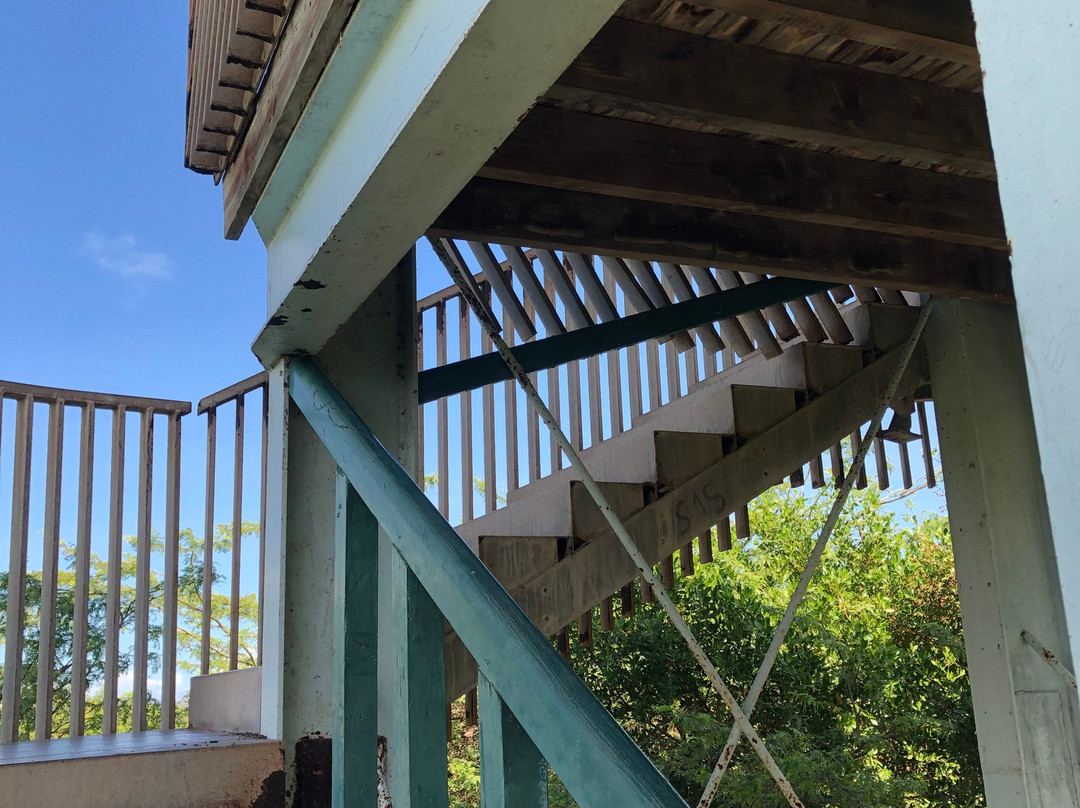 Bubali Bird Sanctuary-棕榈/鹰海滩必去景点