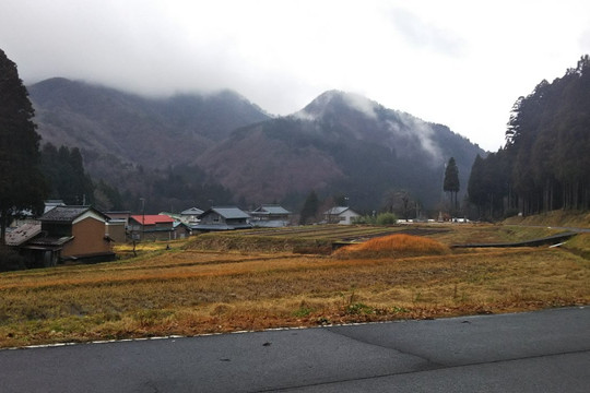 Tree Picnic Adventure Ikeda-池田町必去景点